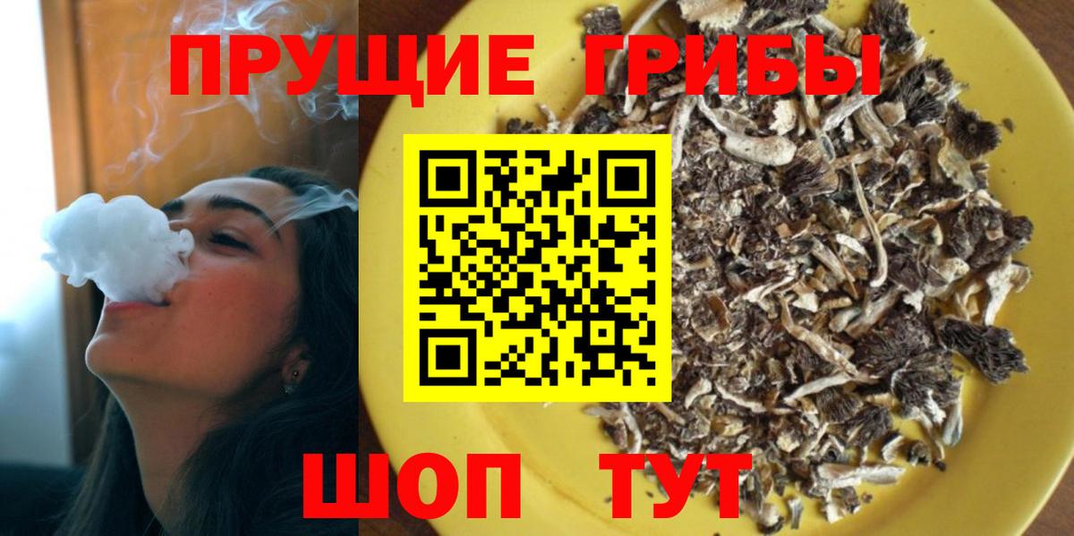 Новочеркасск  Галлюциногенные грибы Cubensis  Вход с VPN 