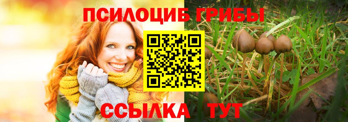 Галлюциногенные грибы Cubensis Новочеркасск